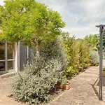 Haustierfreundliches 'cottage Glicini' Mit Pool Und Aussicht By Interhome * Ostra